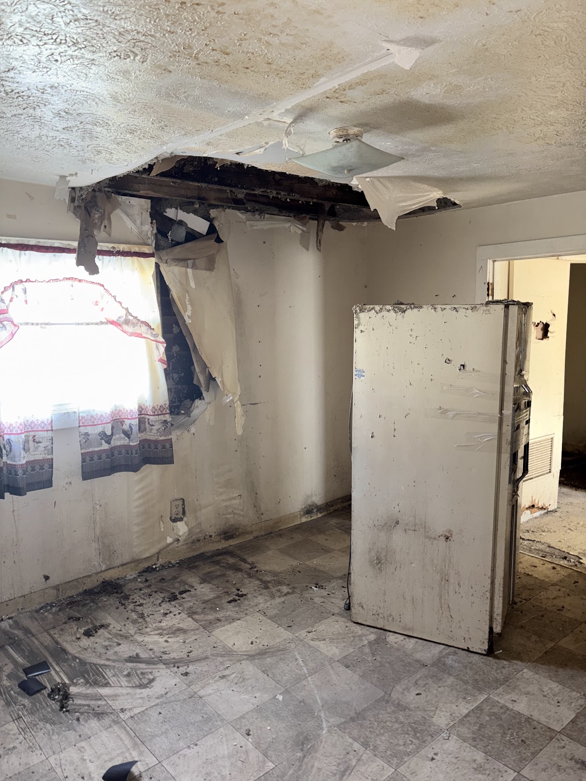 Copy of IMG_8191.HEIC