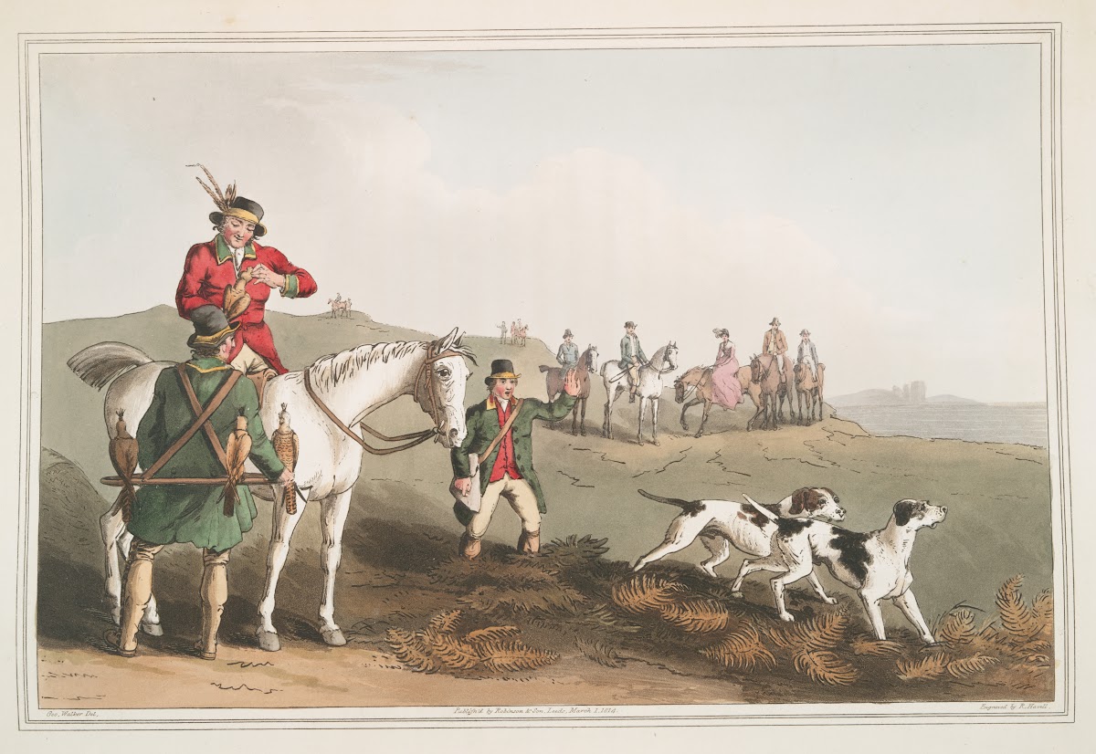 Hawking Plate 30 1814