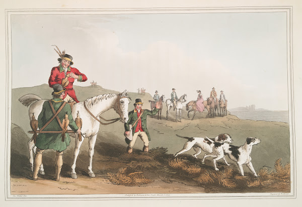 Hawking Plate 30 1814