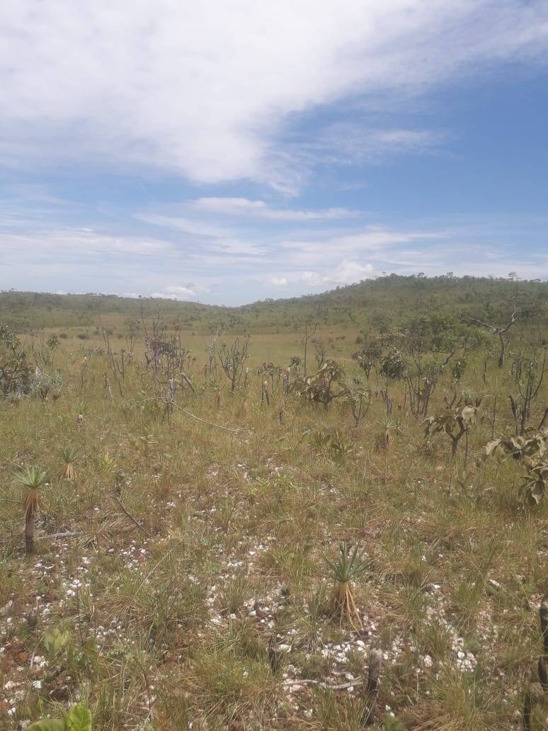 Fazenda em Cavalcante-GO 8