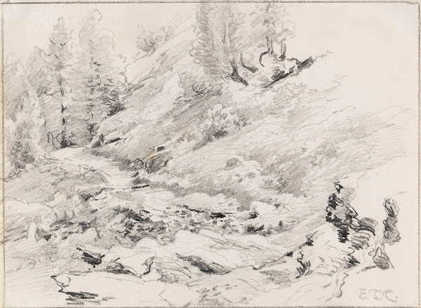 Waldskizze mit Felsformation Ca 1880 90