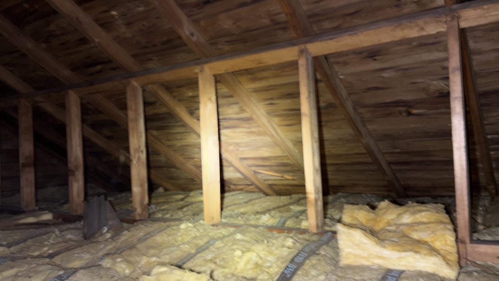 Copy of IMG_2026-03-13_14-12-47_188.jpg