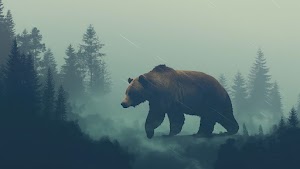 Grizzly Bear Wallpaper
