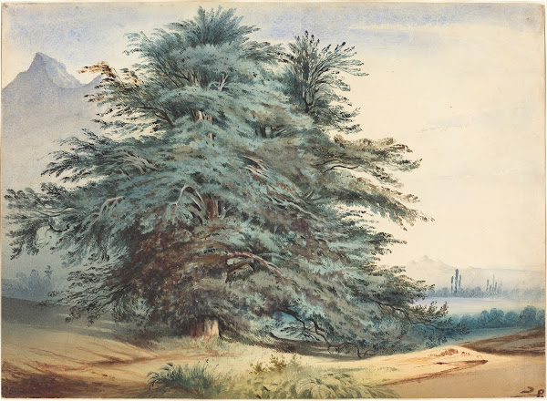 Two Ancient Trees before a Mountain Peak c 1830