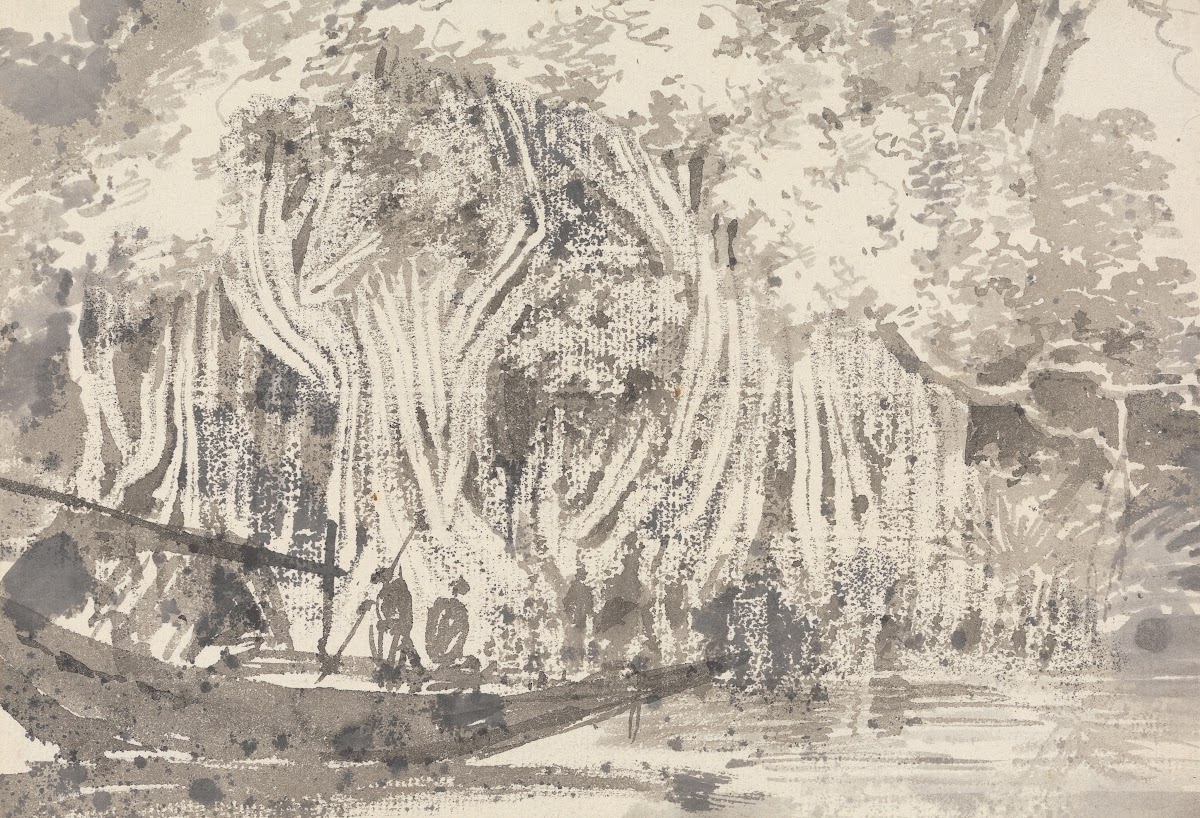 A Pipul Tree