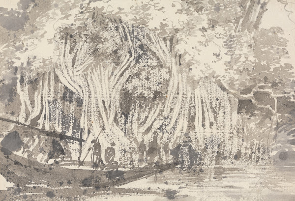 A Pipul Tree