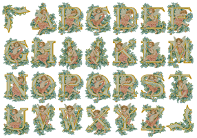 CMP 5531 Pattern