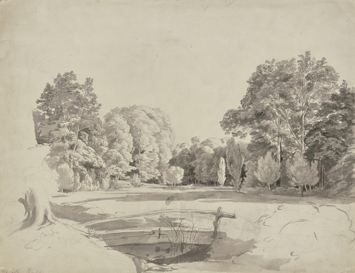 Forest lake