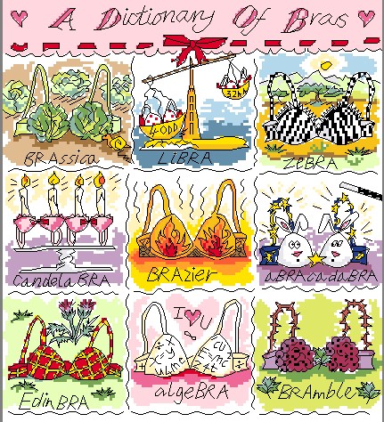 BT C1253 A Dictionary Of Bra
