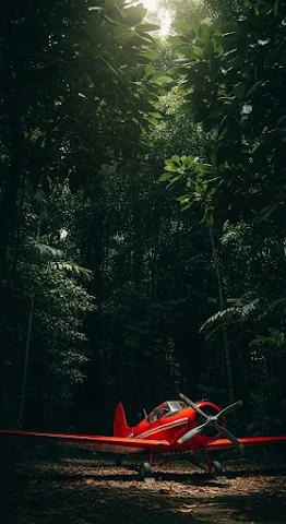 Lost Jungle Aviator