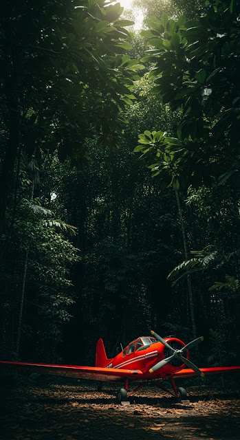 Red Vintage Fighter Plane Abandoned in Dense Rainforest - Free mobile Wallpaper