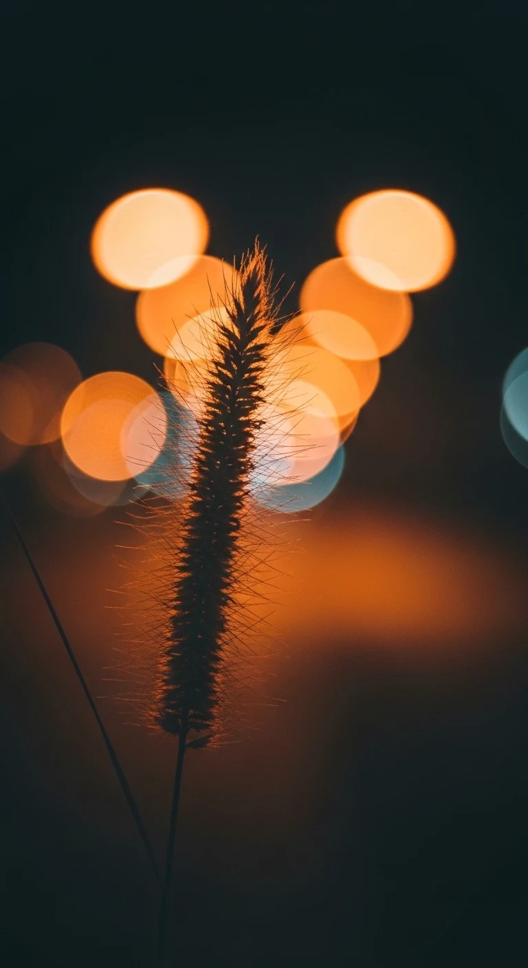 Close-up of Dried Grass Stalk in Foreground with Warm Bokeh City Lights Background - Free 4K mobile Wallpaper