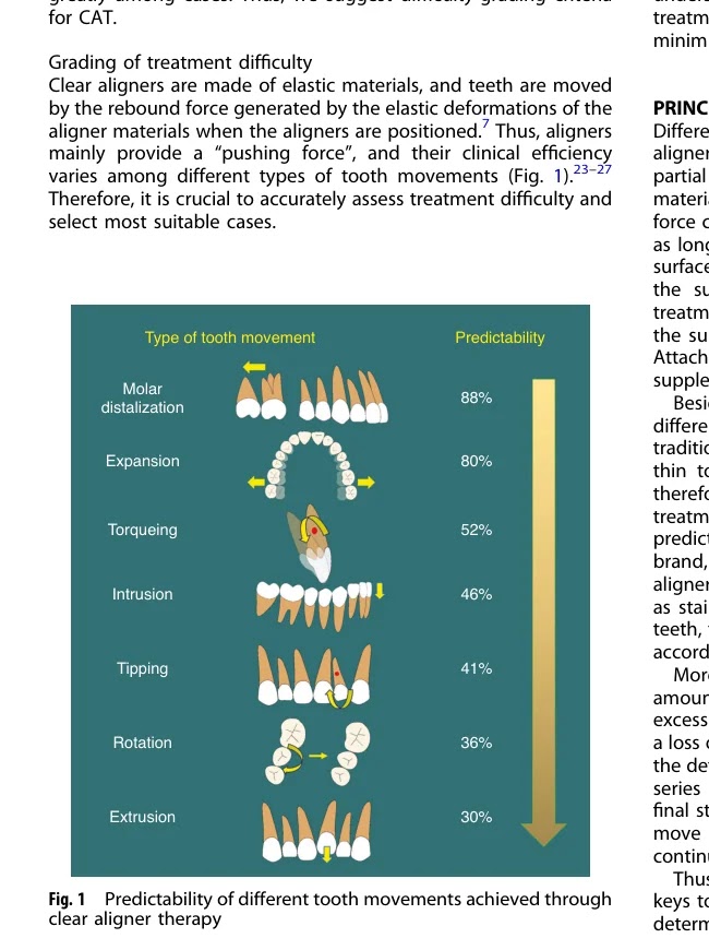 치아 이동별 예측성