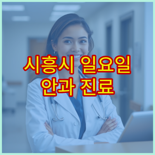 시흥시 일요일 안과 진료 병원 결막염·다래끼 치료 가능