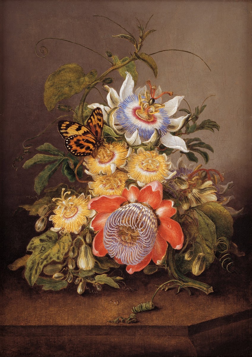 Passionflowers 1812