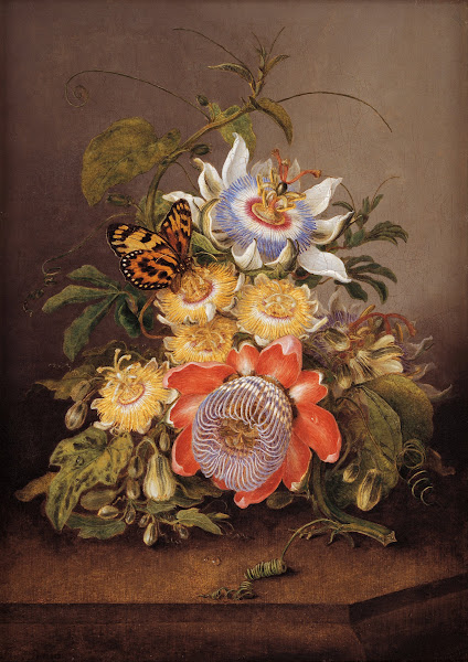 Passionflowers 1812