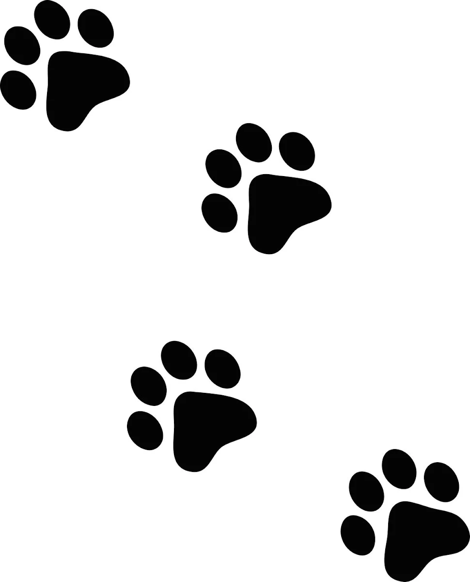 Paw Print Free SVG for Vinyl Cutter Crafts and Engraving