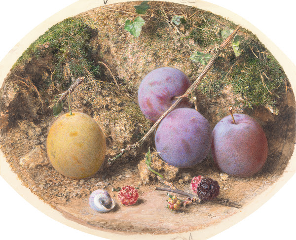Plums and Mulberries ca 1860