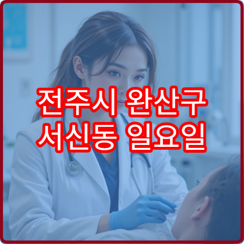 전주시 완산구 서신동 일요일 진료 정형외과 허리 디스크 통증 진료