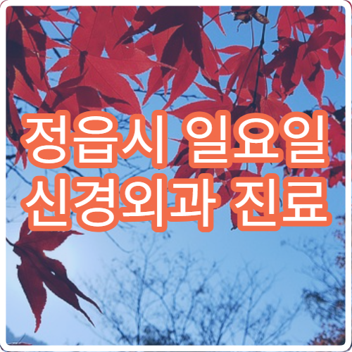 정읍시 일요일 신경외과 진료 병원 – 허리, 목 디스크, 두통 환자 주말 진료 안내