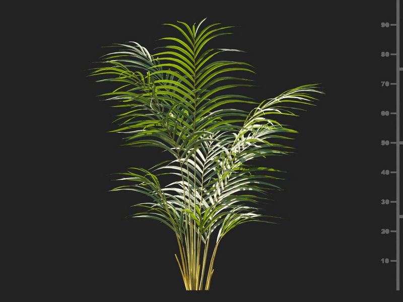 Maxtree - Plant Models Vol.127