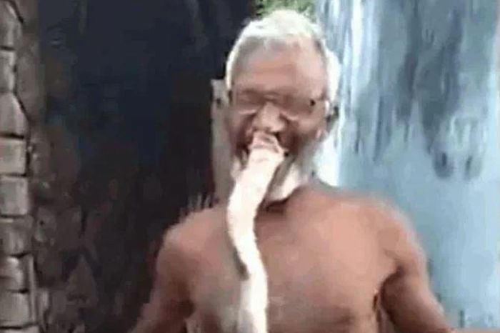 Cụ ông 65 tuổi ngậm rắn hổ mang sống vào miệng - Tạp chí Doanh Nghiệp Việt Nam