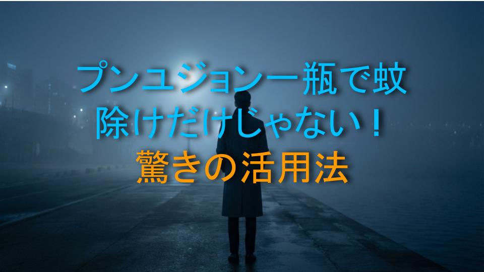 プンユジョン一瓶で蚊除けだけじゃない！驚きの活用法