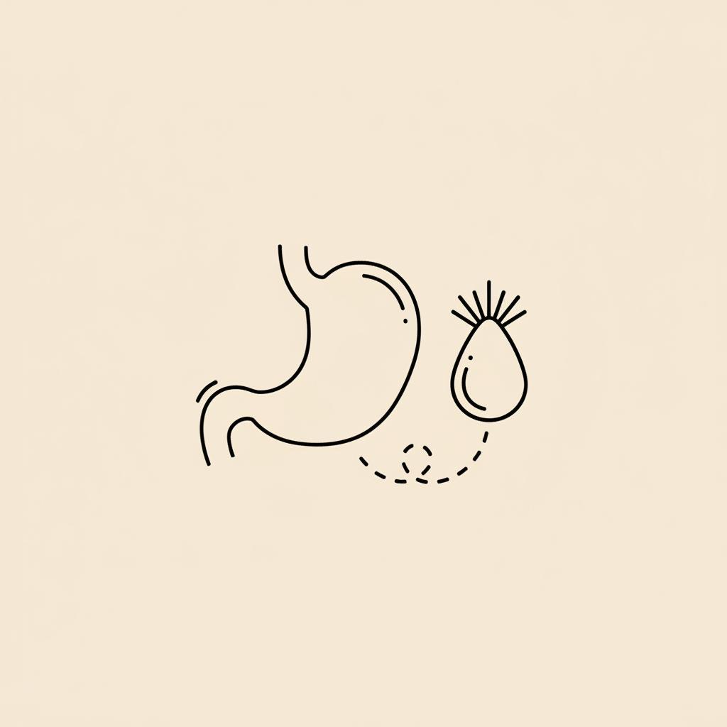 Minimal Tonum-style line illustration of a stomach outline beside a milk thistle seed capsule on a flat #F2E5D5 background representing digestive support