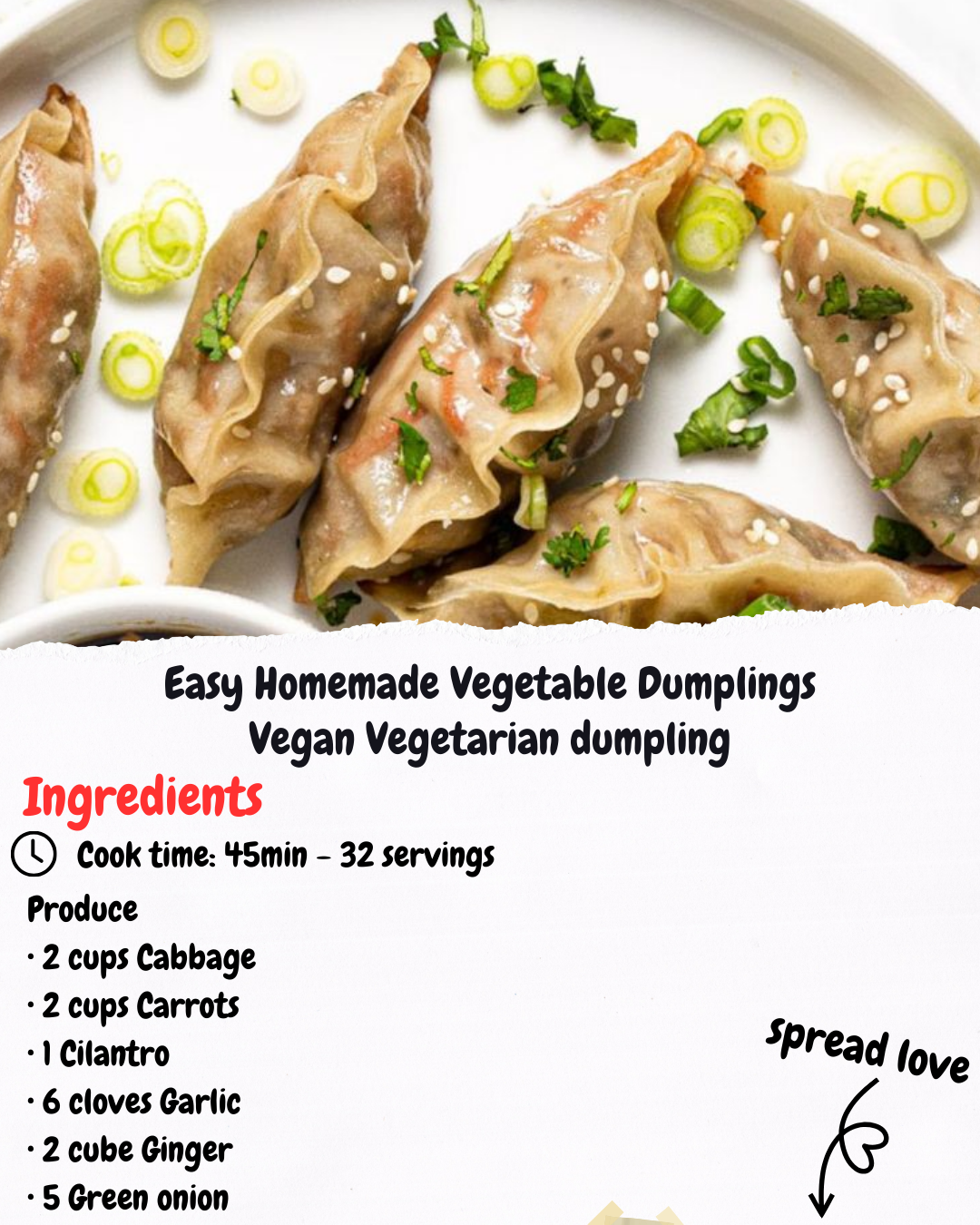 Easy Homemade Vegetable Dumplings Vegan Vegetarian dumpling