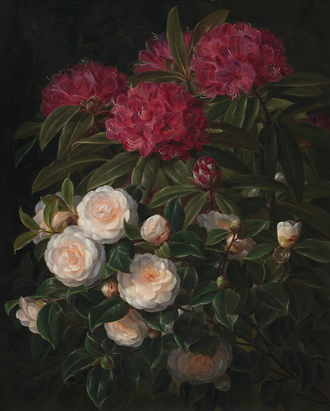Kamelier Og Rhododendron 1852