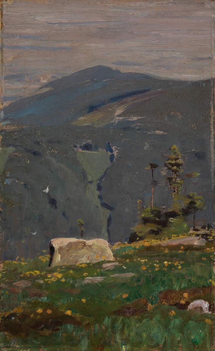 Blick von der Hornisgrinde ca 1896
