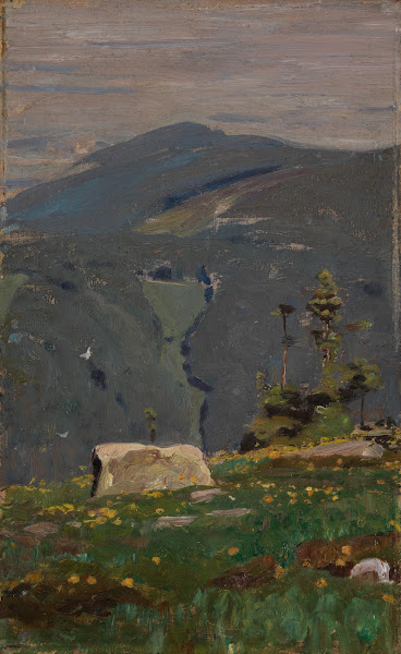 Blick von der Hornisgrinde ca 1896
