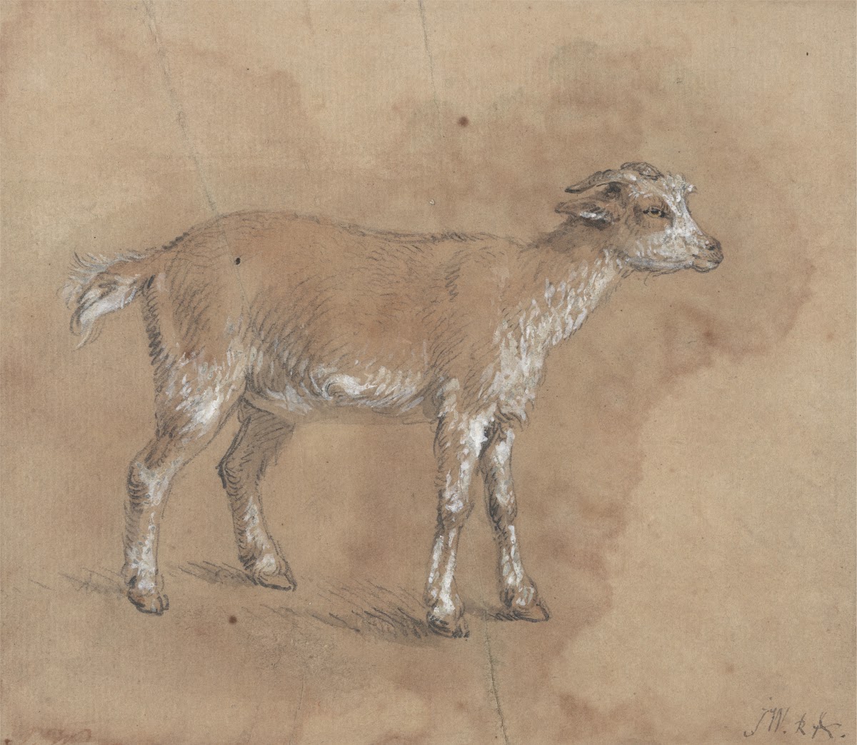 Study of a Kid 1796