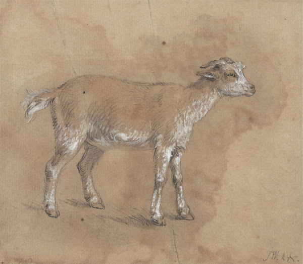 Study of a Kid 1796