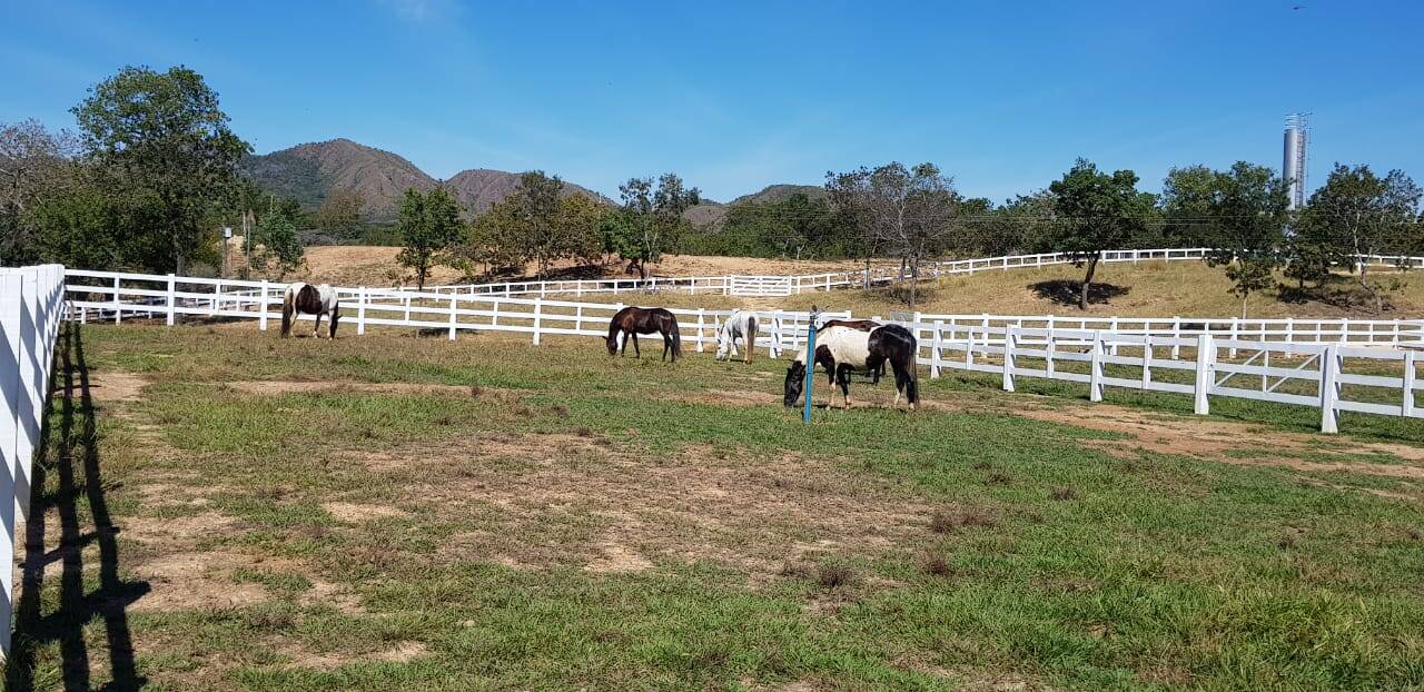 Fazenda em Niquelândia - GO 6