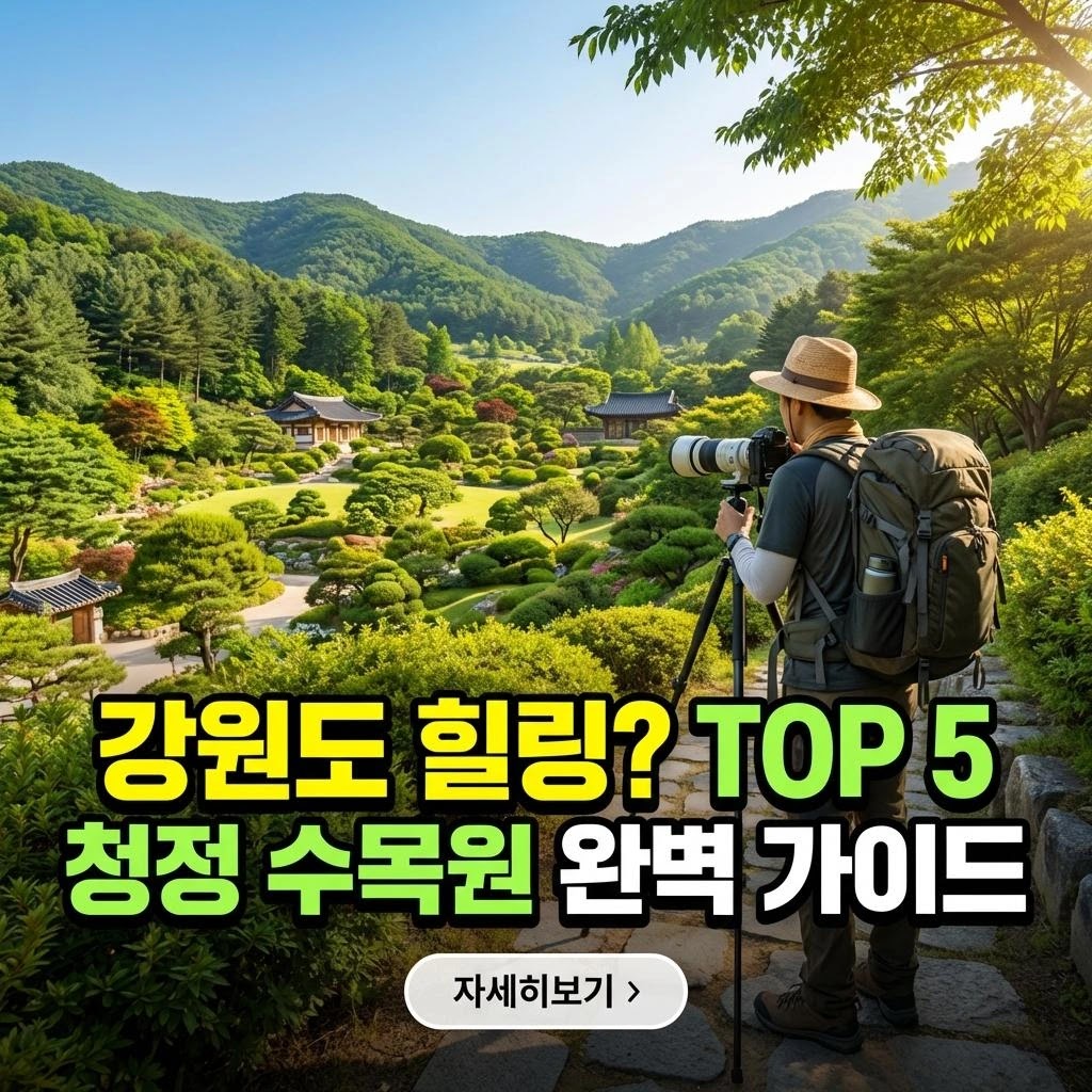 강원도 힐링? TOP 5 청정 수목원 완벽 가이드