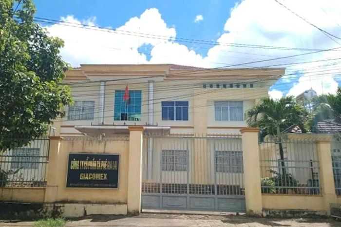 Chuyển cơ quan điều tra vụ gây thất thoát ở Công ty TNHH MTV Cà phê Gia Lai - Báo Tri thức &amp; Cuộc sống