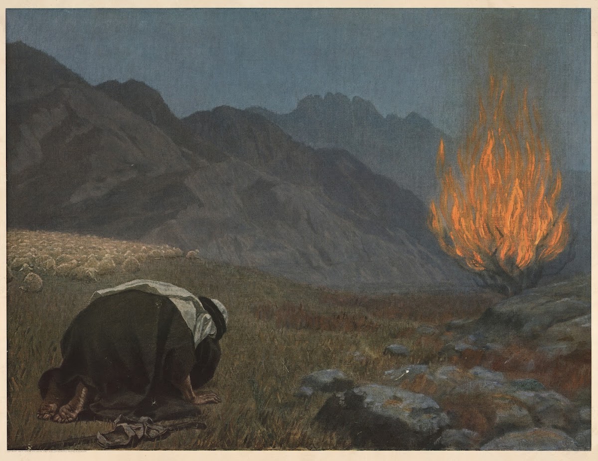 The Burning Thorn Bush 1932
