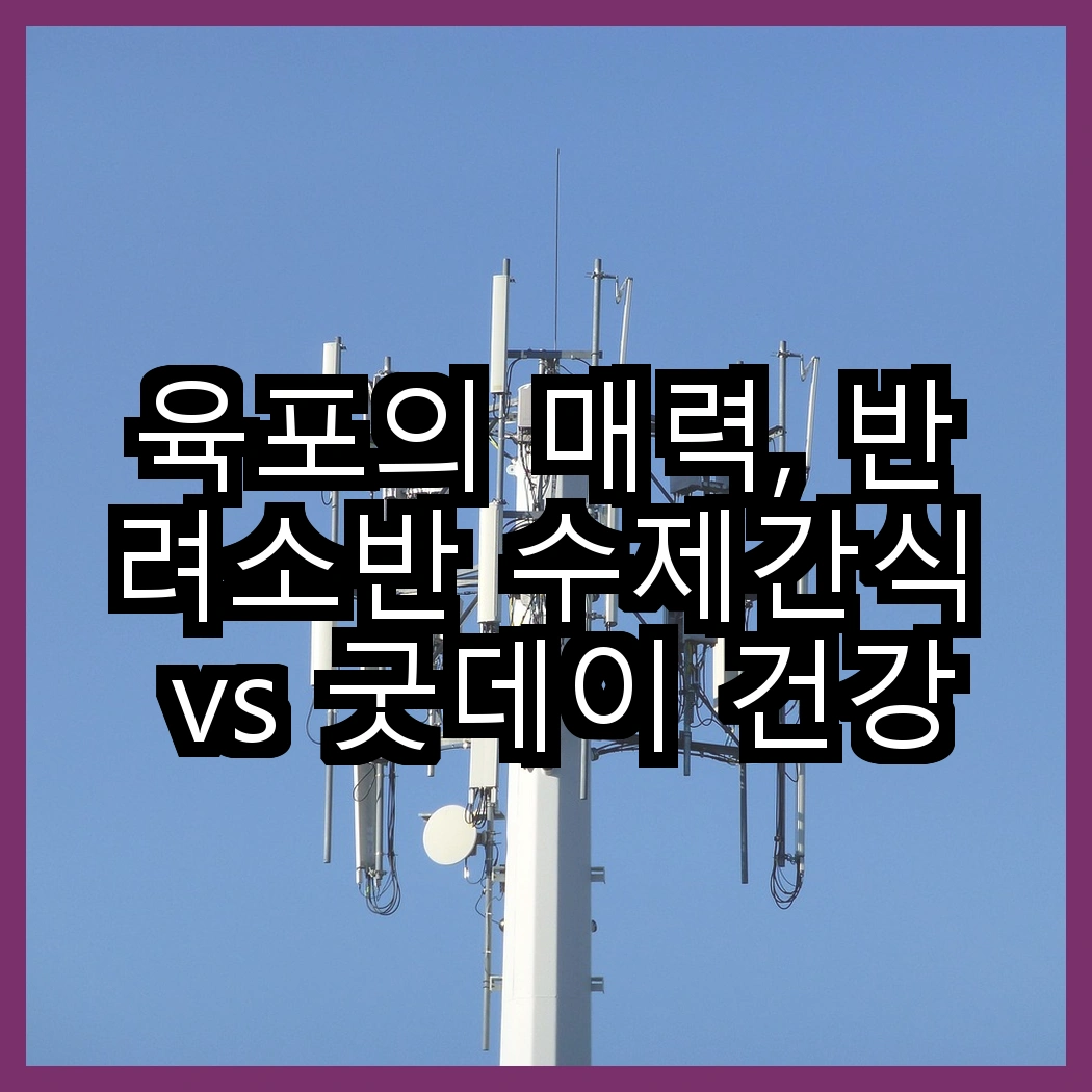 육포의 매력, 반려소반 수제간식 vs 굿데이 건강한 육포, 어떤 선택이 더 좋을까? 썸네일