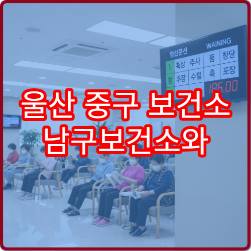 울산 중구 보건소 남구보건소와 비교 리뷰 및 이동 시간 단축 팁