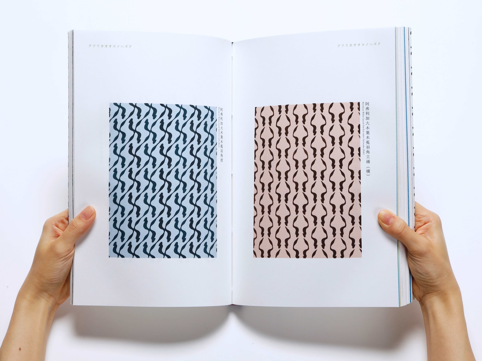 鳥をモチーフにした新しい文様の制作-thumb-2