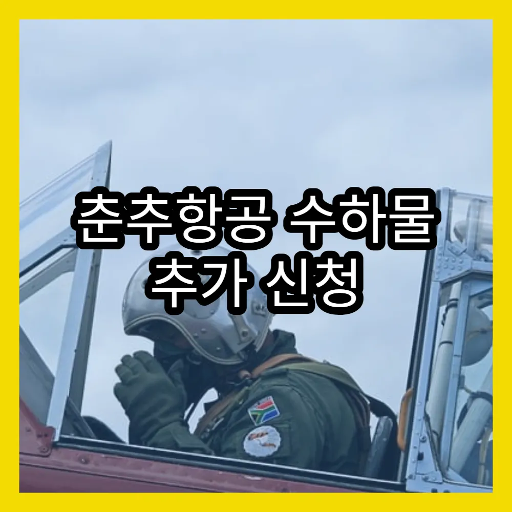 춘추항공 수하물 추가 신청 방법과 비용 안내