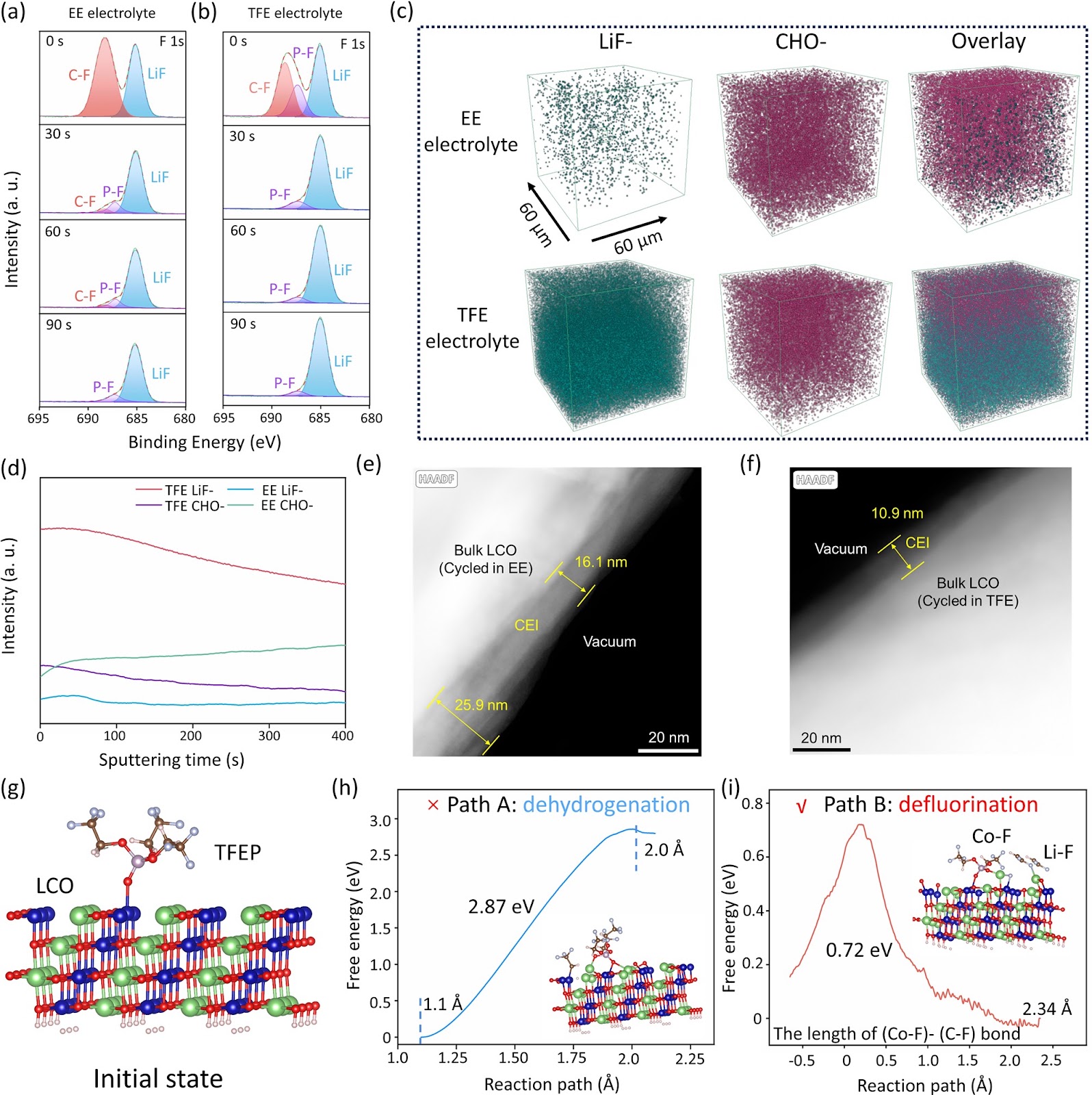 Manipulating Interfacial Stability via Preferential Absorption for Highly Stable and Safe 4.6 V LiCoO2 Cathode
