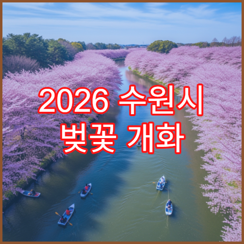 2026 수원시 벚꽃 개화 시기 3월 말 화성행궁 명소 산책 코스 추천​