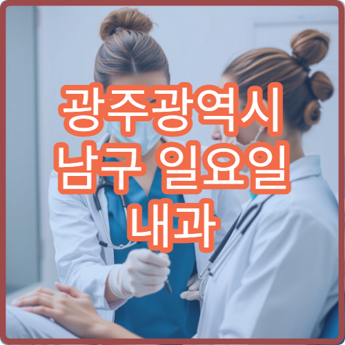 광주광역시 남구 일요일 내과 주말 진료 병원 정보