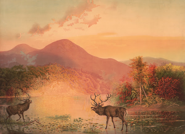 Deers retreat 1871