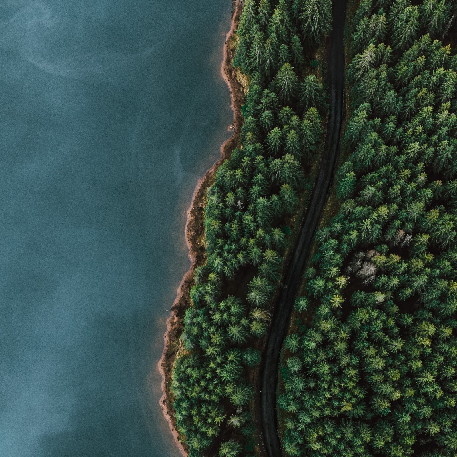Download Scenic Lakeside Forest Road 2K iPhone