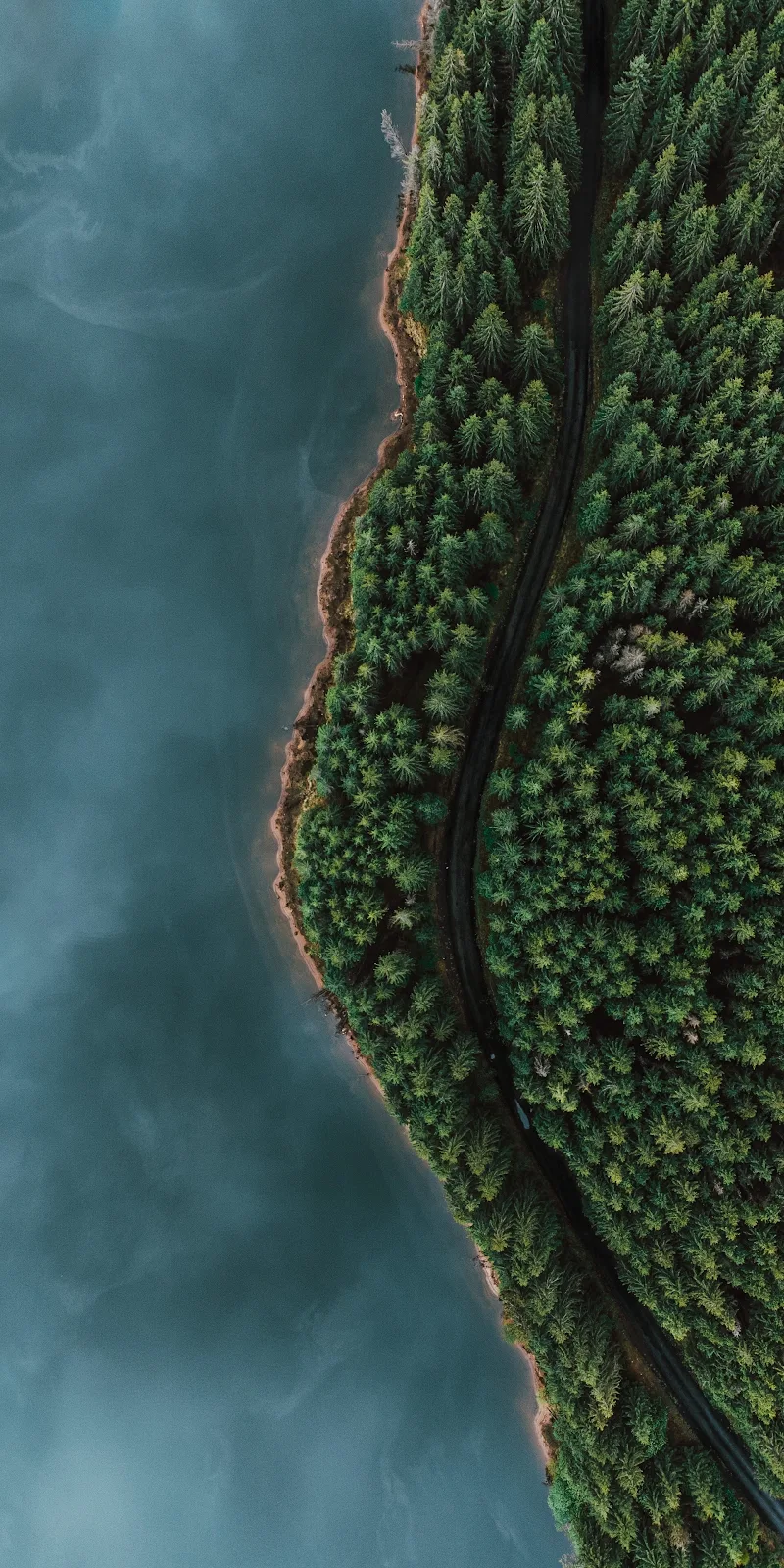 Scenic Lakeside Forest Road - Aerial Photography 2K iPhone Wallpaper (1922x3844)