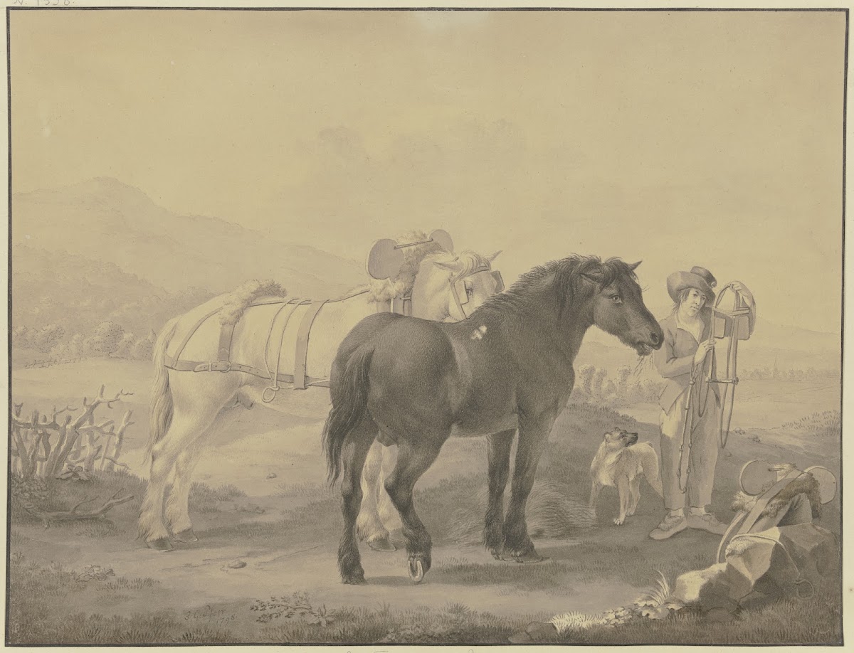 French horses 1798
