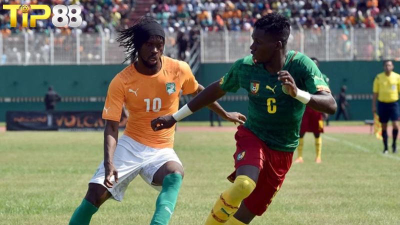 Lịch sử đối đầu Bờ Biển Ngà vs Cameroon